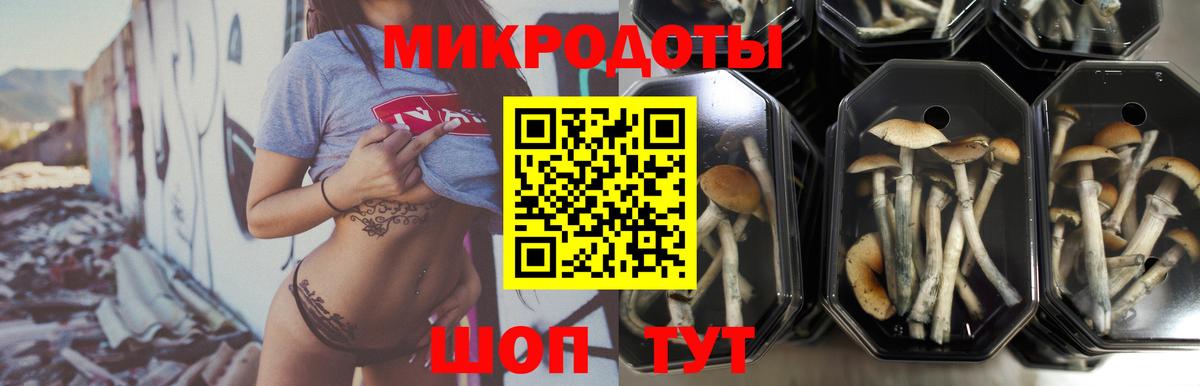 Галлюциногенные грибы прущие грибы Домодедово